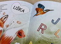 Rozárka dětské